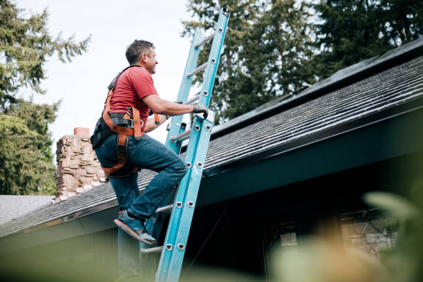Best Skylight Installation and Repair  in Villas, NJ